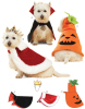 Kwik Sew 3629 Pattern