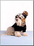 McCalls 5723 Pattern( Size ONE SIZE )