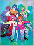 McCalls 5955 Pattern ( Size SML-MED-LRG-XLG )