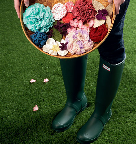 Click to magnify/shrink Photo